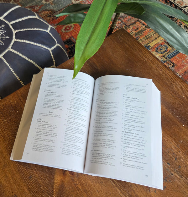The Simple Bible: Blue Edition - Hardback