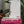 The Simple Bible: Pink Edition